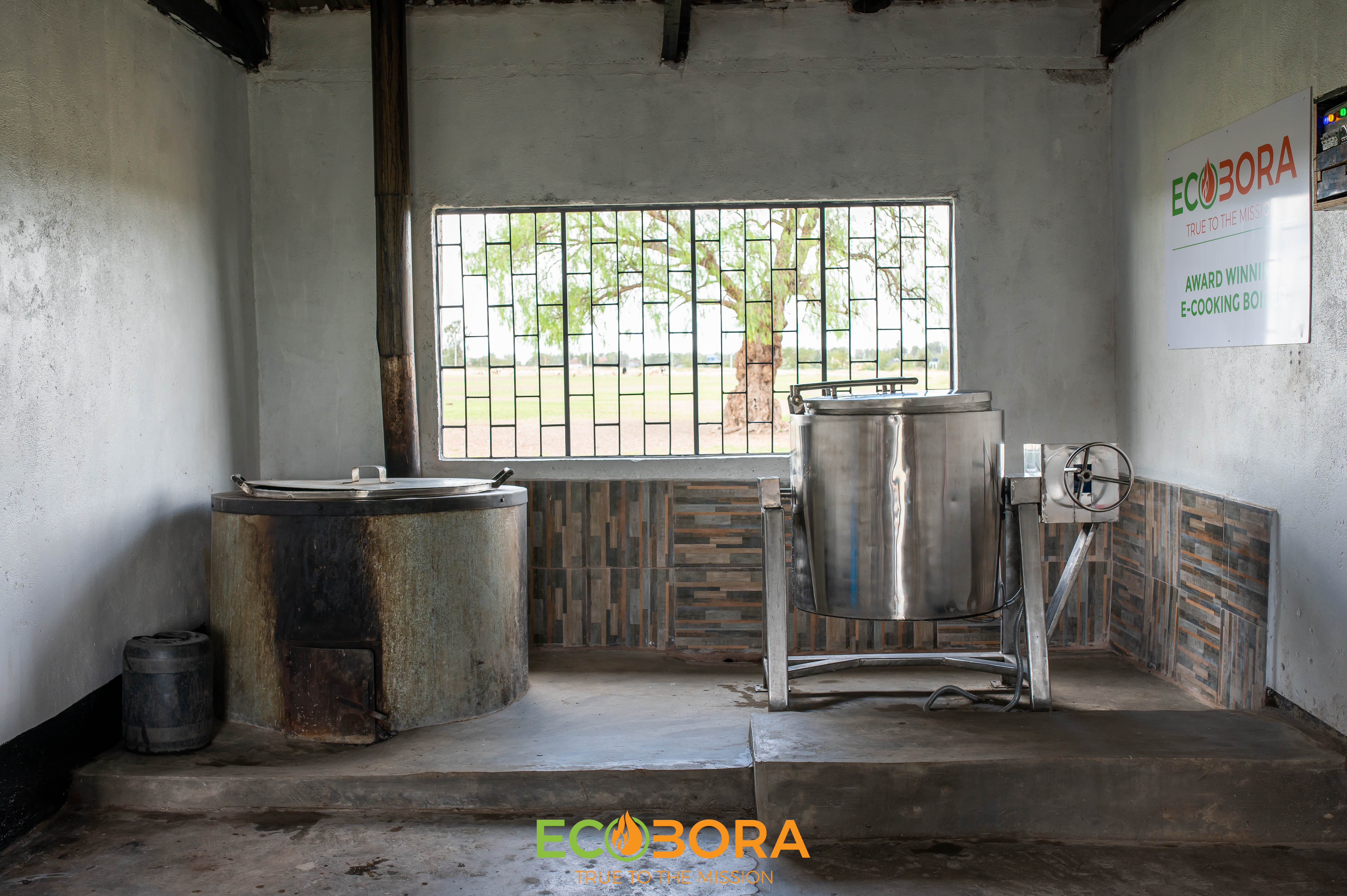 Ecobora Boiler image